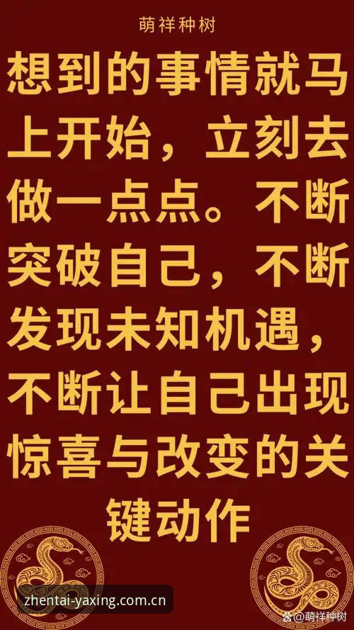 很多人第一次点开"凝练本真态度更新日志"时，都会下意识以为这是一款手机壁纸应用，或者某个小众音乐App的版本说明。直到他们看到那一行小字——"专注篮球赛事数据与体验优化"——才意识到自己跑偏了。这个误区其实挺有意思的：一个体育工具类产品，为什么会选择一个听起来像生活哲学的命名方式？