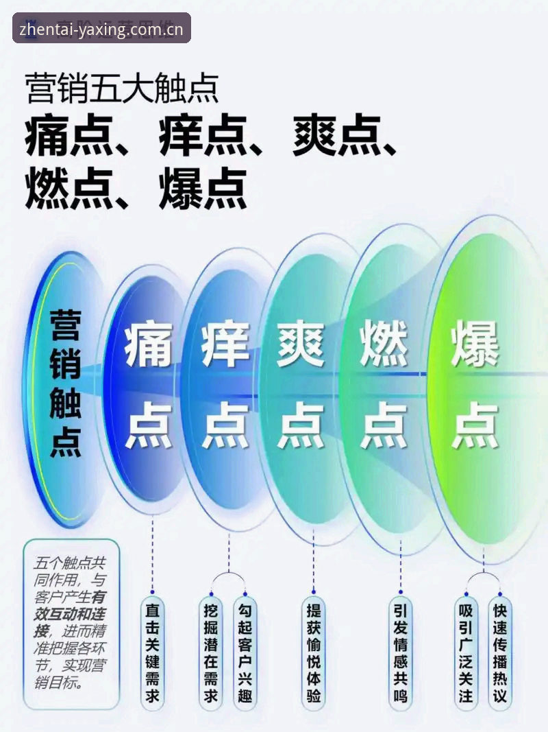 凝练本真态度更新日志使用技巧全面解析：三个真实用户痛点与解决路径